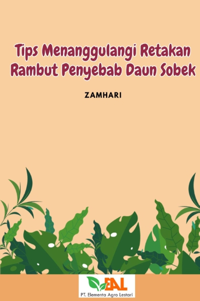 Tips Menanggulangi Retakan Rambut Penyebab Daun Sobek